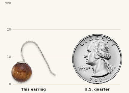 Classique True Size: Sterling Silver Polished Round Tiger's Eye Dangle Earrings shown next to a US quarter (24.3 mm)