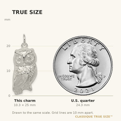 Sterling Silver Owl Charm, 25 x 12mm