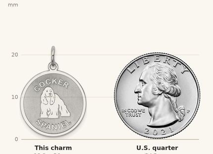 Classique True Size: Sterling Silver Rhodium-plated Cocker Spaniel Disc Charm shown next to a US quarter (24.3 mm)