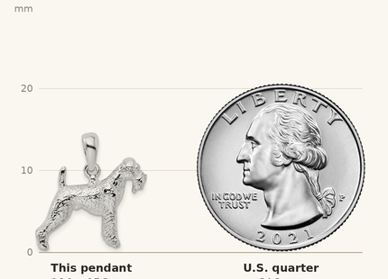 Classique True Size: De-Ani Sterling Silver Rhodium-Plated Textured 3D Airedale Terrier Pendant shown next to a US quarter (24.3 mm)