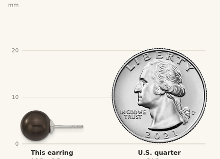 Classique True Size: Majestik Sterling Silver Rhodium-plated 8- Black Imitation Shell Pearl Stud Earrings shown next to a US quarter (24.3 mm)