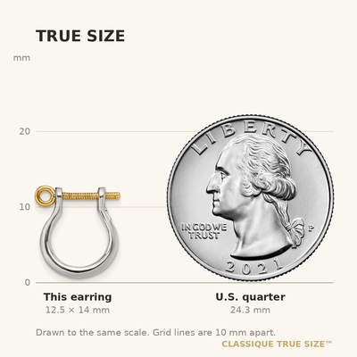 De-Ani Sterling Silver Rhodium-plated Polished 3D Small Shackle with 14K Screw Earrings
