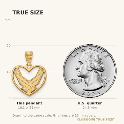 Sterling Silver Gold-plated LogoArt U.S. Air Force Heart Pendant