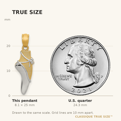 14K w/Rhodium Ballet Shoe Pendant