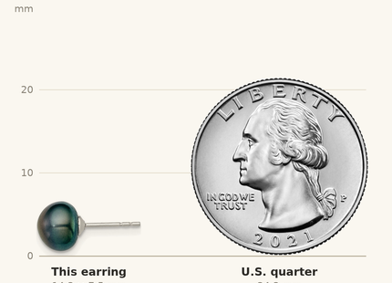 Classique True Size: Sterling Silver Rhodium-plated 7- Black Button Freshwater Cultured Pearl Post Earring shown next to a US quarter (24.3 mm)