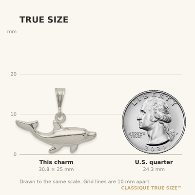 Sterling Silver Dolphin Charm, 25 x 30mm
