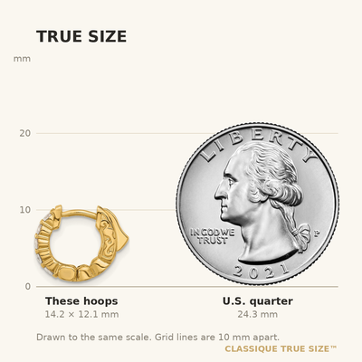 14K Round Hoop w/ Safety Clasp Diamond Earrings