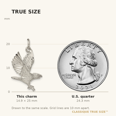 Sterling Silver Eagle Charm, 25 x 19mm