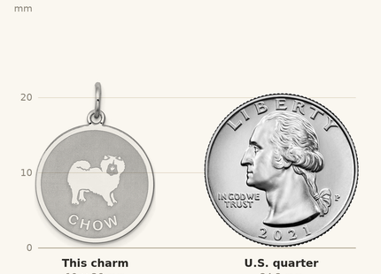 Classique True Size: Sterling Silver Rhodium-plated Chow Disc Charm shown next to a US quarter (24.3 mm)
