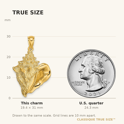 14K Conch Shell Charm, 31 x 21.1mm