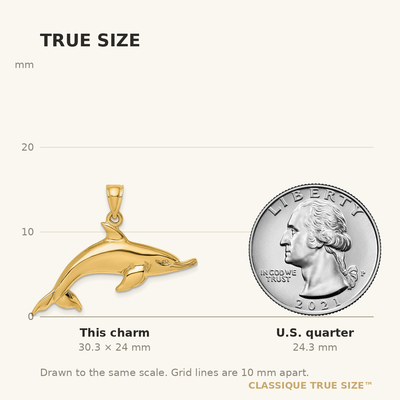 14K Polished Swimming Dolphin Charm