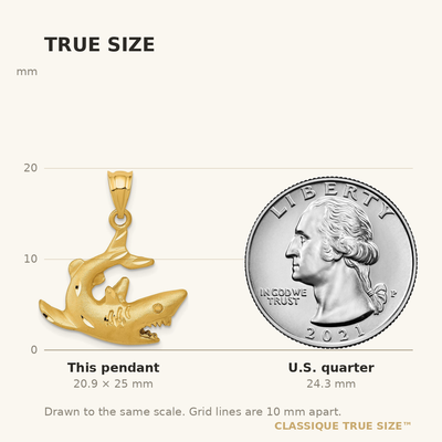 14K Shark Pendant, 25 x 20mm