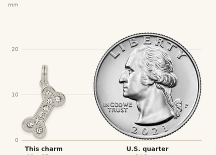 Classique True Size: Sterling Silver Dog Bone Charm shown next to a US quarter (24.3 mm)