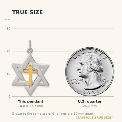 Sterling Silver Platinum-plated Gold Tone Cross Star of David Charm Pendant