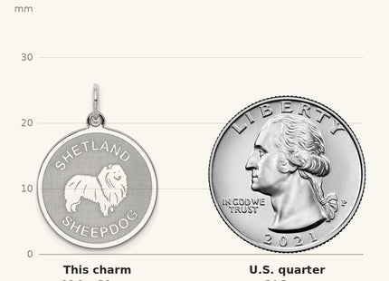 True size: Sterling Silver Rhodium-plated Shetland Sheepdog Disc Charm shown next to a US quarter (24.3 mm)