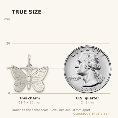 Sterling Silver Butterfly Charm, 20 x 25mm