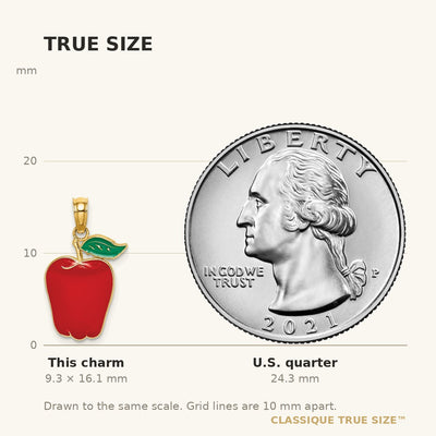 14K Enamel Red Delicious Apple W/Stem and Leaf Charm