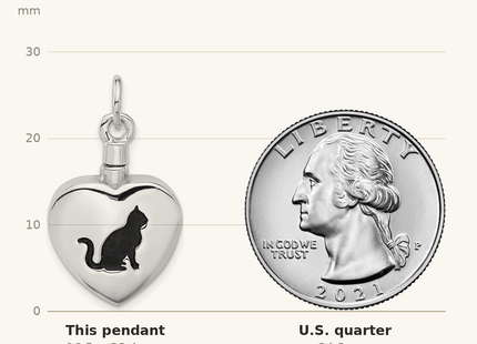 Classique True Size: Sterling Silver Rhodium-plated Enamel Heart with Cat Ash Holder Pendant shown next to a US quarter (24.3 mm)