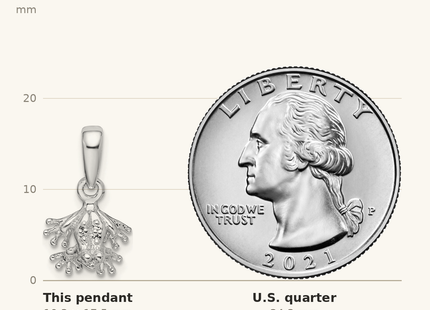 Classique True Size: De-Ani Sterling Silver Rhodium-Plated Polished Mini Frog Pendant shown next to a US quarter (24.3 mm)