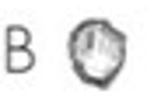 Circle