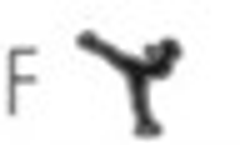 Martial Arts